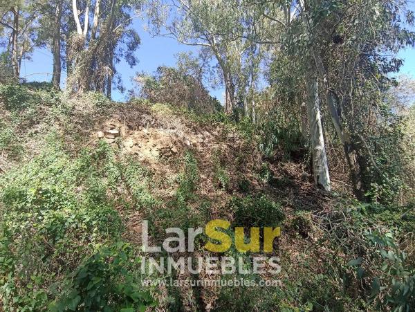 Terreno en calle Torcal, 30