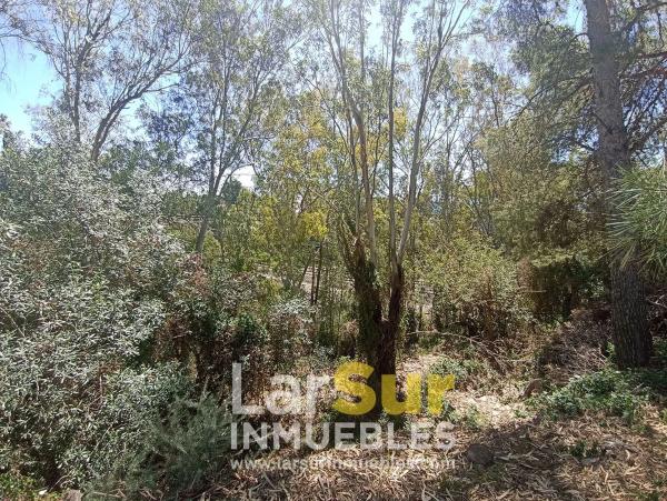 Terreno en calle Torcal, 30