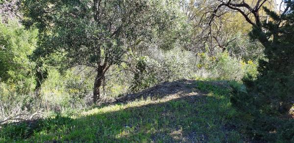 Terreno en Parcela 24 s/n