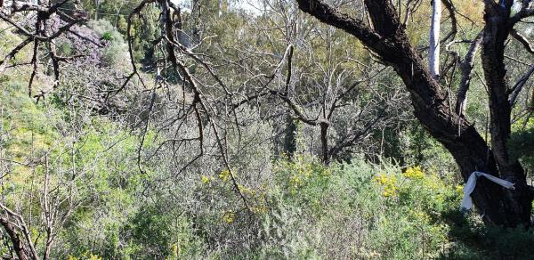 Terreno en Parcela 24 s/n