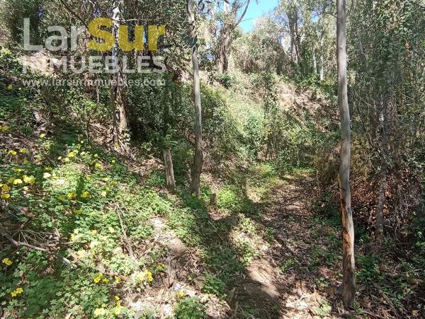 Terreno en calle Torcal, 30