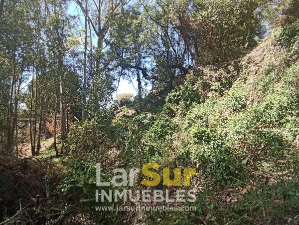 Terreno en calle Torcal, 30