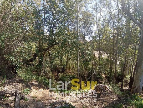 Terreno en calle Torcal, 30