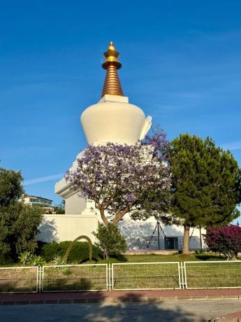 Terreno en calle Rododendro s/n