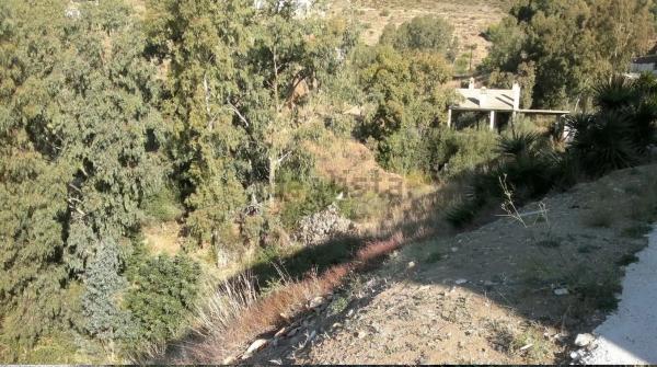 Terreno en calle el Olmedo, 30 p