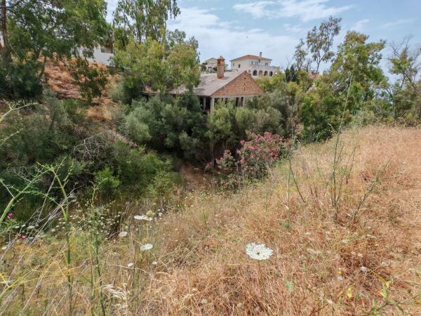 Terreno en calle el Olmedo, 30 p