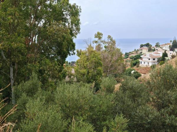 Terreno en calle el Olmedo, 30 p