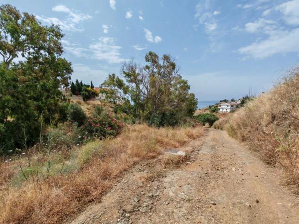 Terreno en calle el Olmedo, 30 p