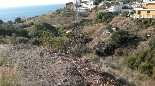 Terreno en calle el Olmedo, 30 p