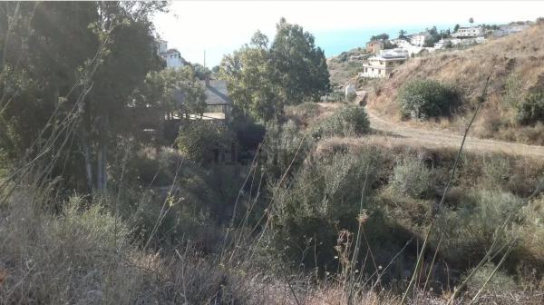 Terreno en calle el Olmedo, 30 p