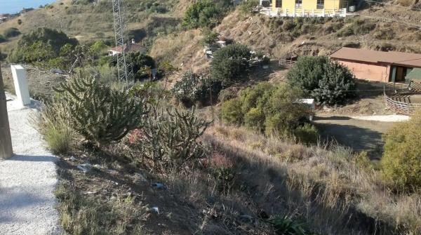 Terreno en calle el Olmedo, 30 p