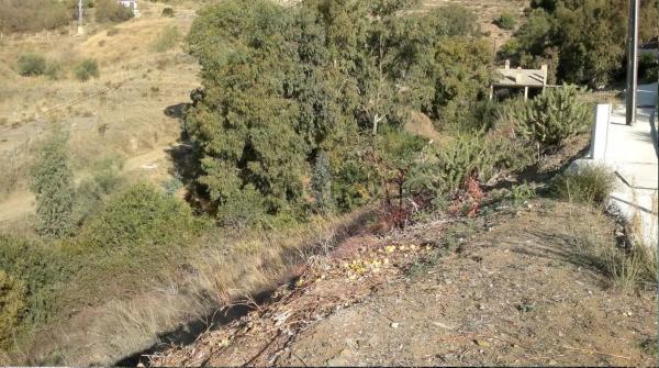 Terreno en calle el Olmedo, 30 p