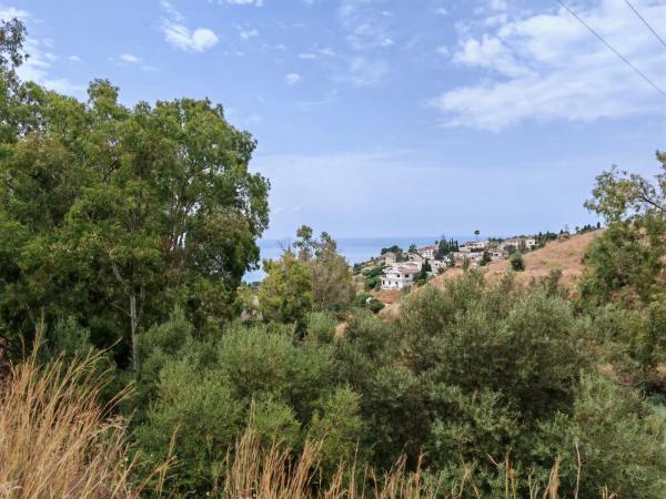 Terreno en calle el Olmedo, 30 p