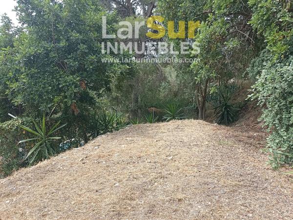 Terreno en calle Torcal, 7 b