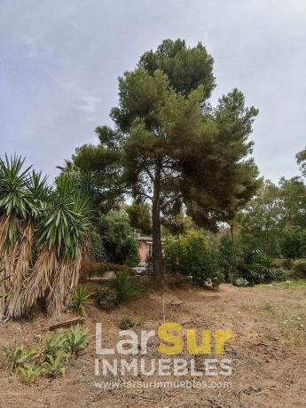 Terreno en calle Torcal, 7 b