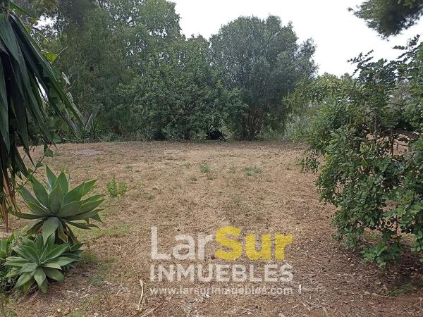 Terreno en calle Torcal, 7 b