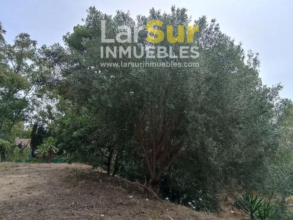 Terreno en calle Torcal, 7 b