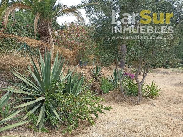 Terreno en calle Torcal, 7 b