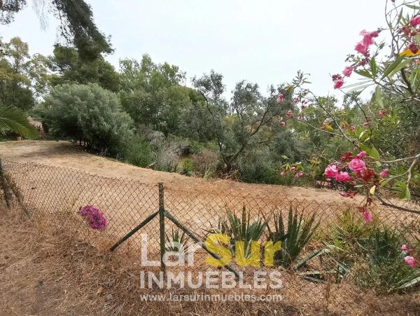 Terreno en calle Torcal, 7 b