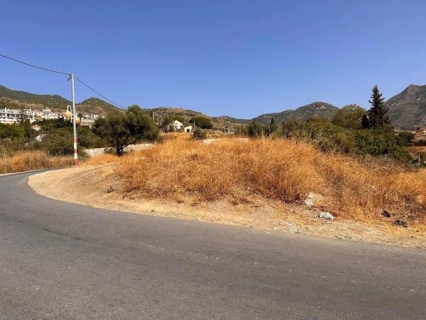 Terreno en camino de la Estación