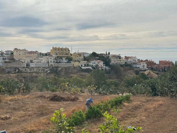 Terreno en camino de la Cantera s/n