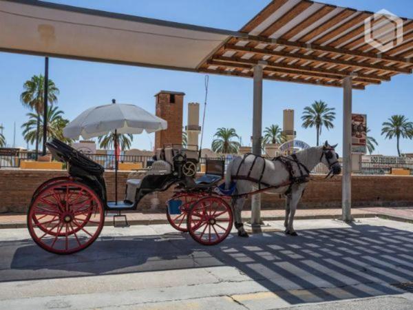 Terreno en calle Vencejo