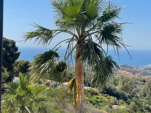 Terreno en Centro Ciudad