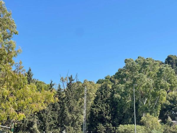 Terreno en Centro Ciudad