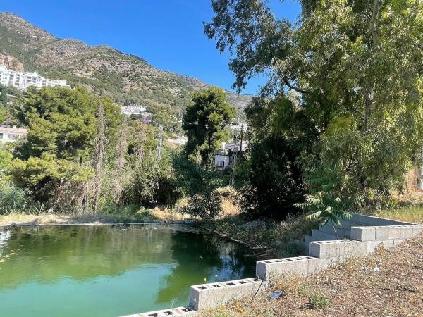 Terreno en Centro Ciudad