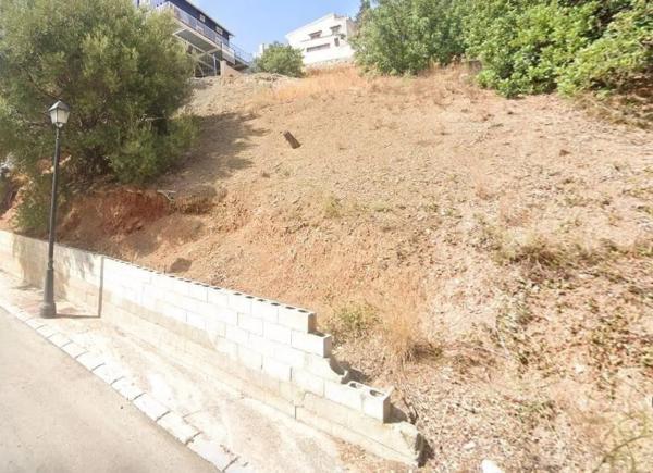Terreno en calle Mimosas