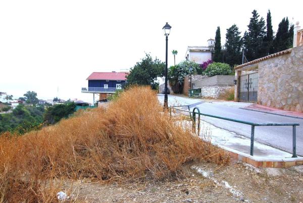 Terreno en calle Mimosas