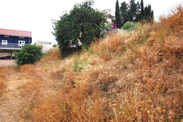 Terreno en calle Mimosas