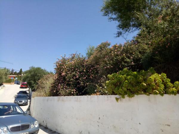 Terreno en calle Marta s/n Esquinacalletrigueros