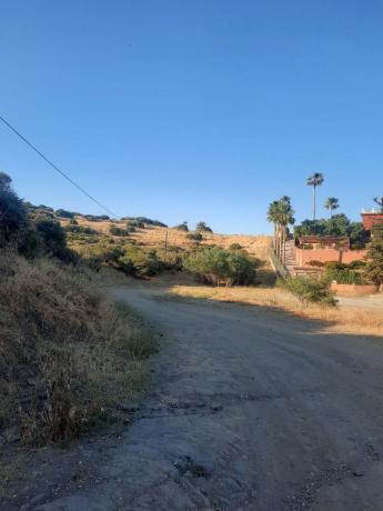 Terreno en calle Jineta