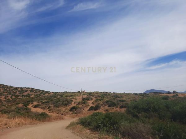 Terreno en calle Jineta