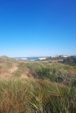 Terreno en calle Jineta