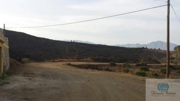 Terreno en calle Jineta