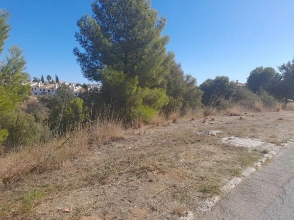 Terreno en Urbanización el Coto, 20