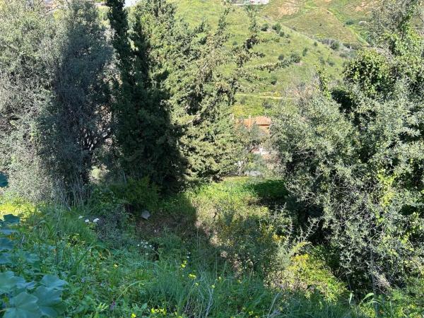 Terreno en Campo de Mijas