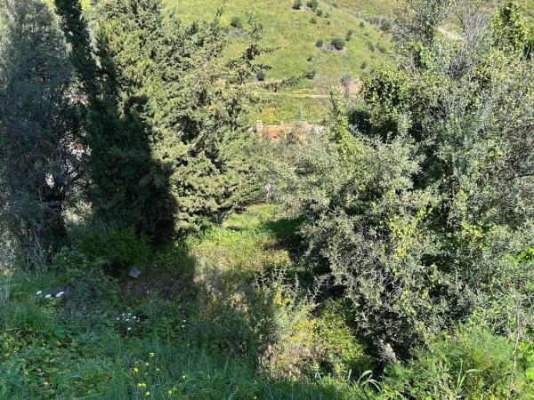Terreno en Campo de Mijas