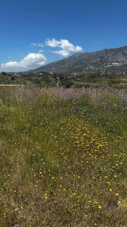 Terreno en Arrabal Sup S1