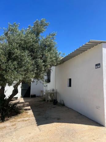 Terreno en camino Entrerrios s/n