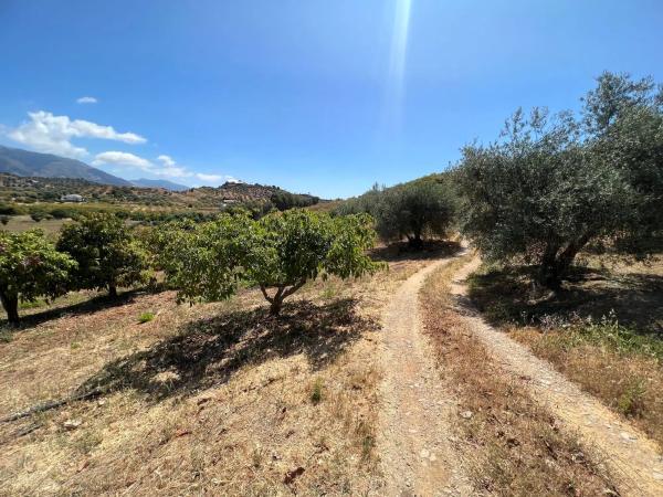 Terreno en camino Entrerrios s/n