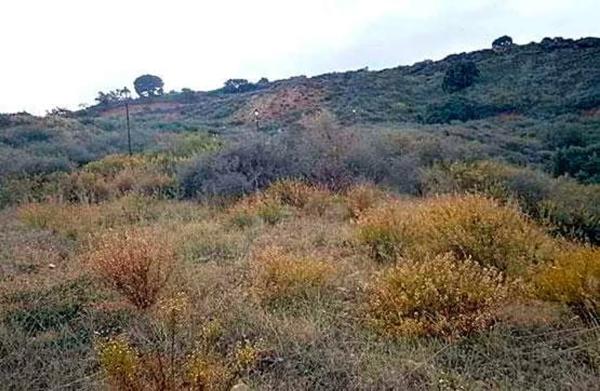 Terreno en carretera Tramo de Unión