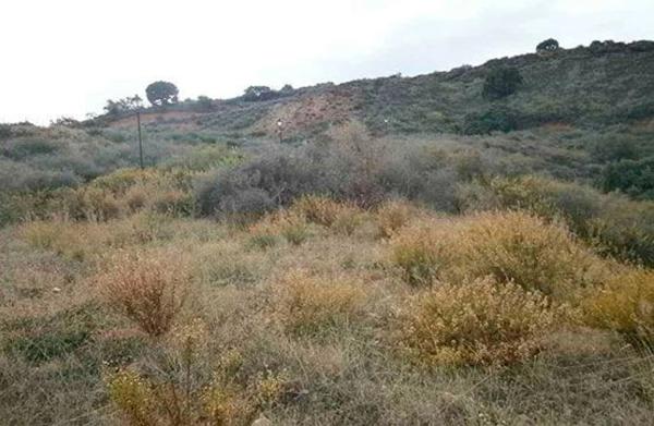 Terreno en Cerro Majada, 22