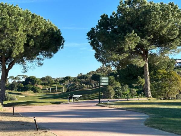 Terreno en Urbanización Cala Golf, 21