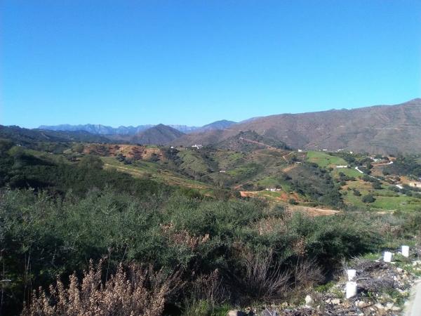 Terreno en calle Velazquez, 47