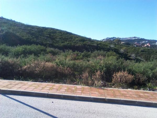 Terreno en calle Velazquez, 47