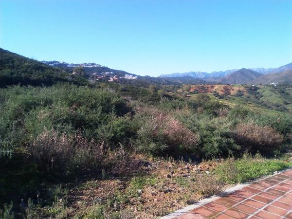 Terreno en calle Velazquez, 47