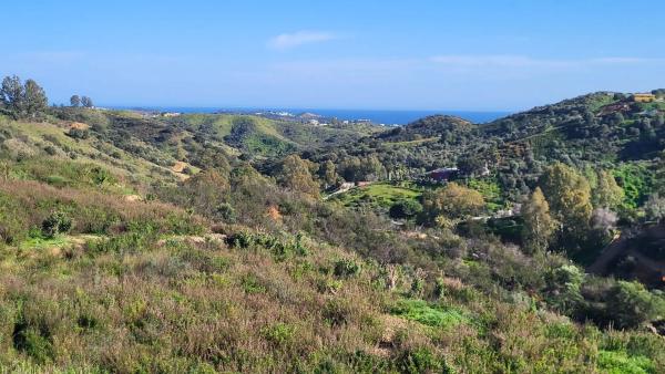 Terreno en calle Reserva de Cala Golf, 35